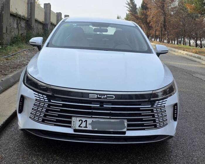Byd destro 2025